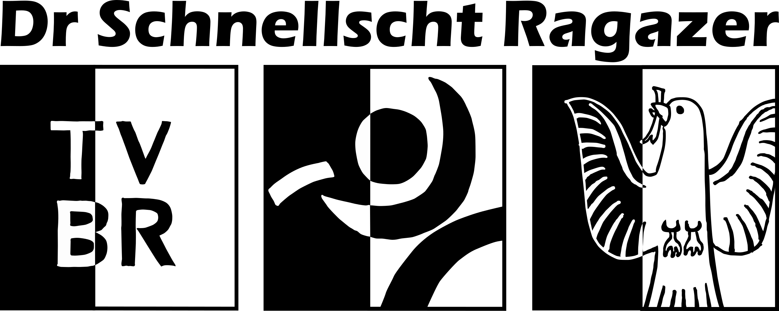 DSR Logo